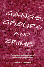 Gangs, Groups and Crime: Perceptions and Responses of Community Organizations cover