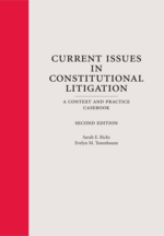 Current Issues in Constitutional Litigation cover